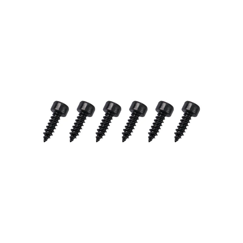 GT040115 Goosky Screws ST3*10 RS7 Ultra
