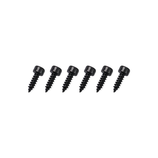 GT040115 Goosky Screws ST3*10 RS7 Ultra